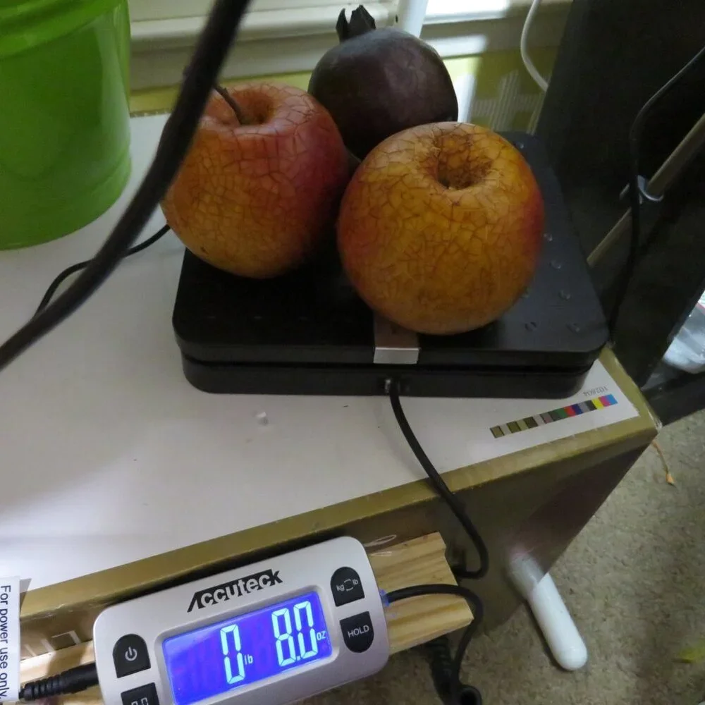 N/A vintage fruit